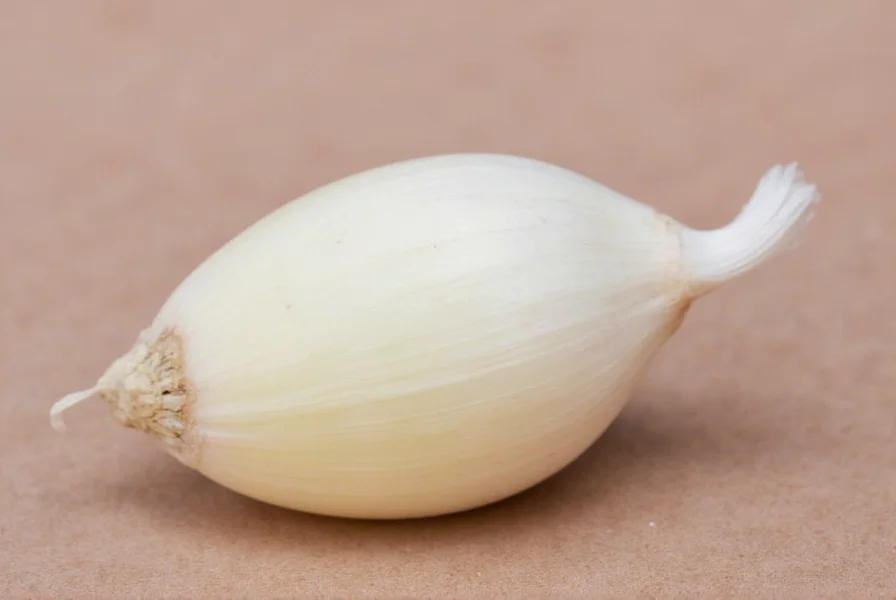 What Is 1 Garlic Clove: Measurement Guide & Conversions