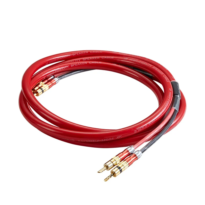

CHINA HIFI SPEAKER CABLE WITH GOLD CONNECTORS