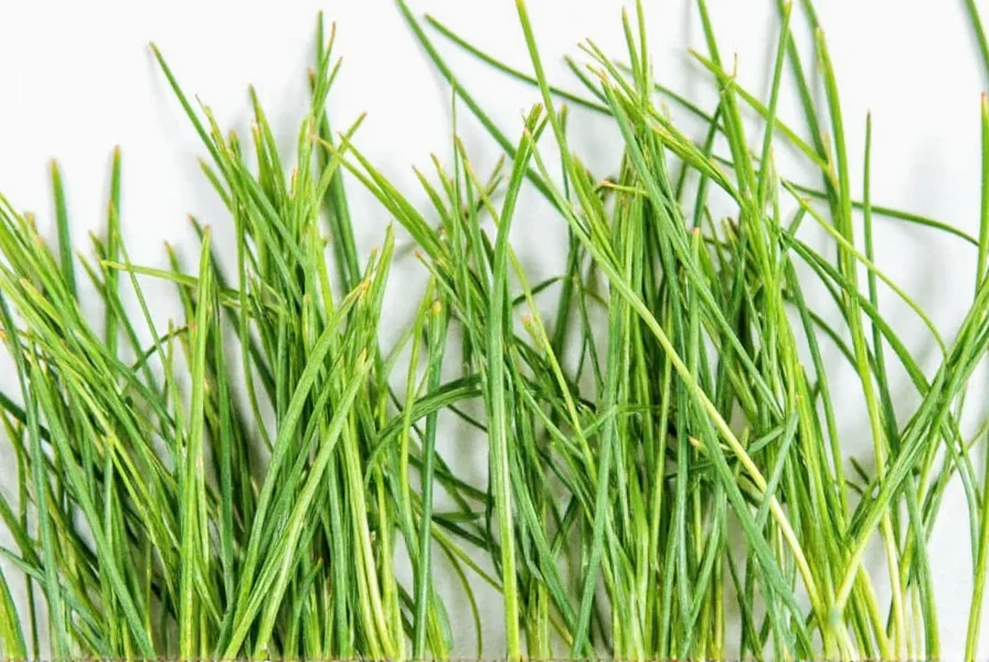 Jar of dried chives in kitchen cabinet