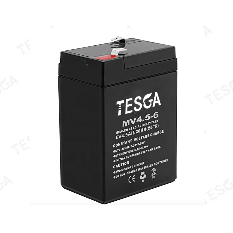 6v4.5amp.jpg