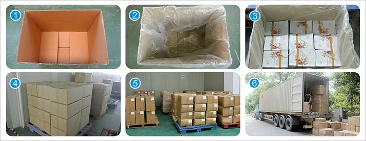 Packing With Handle Food Packing
