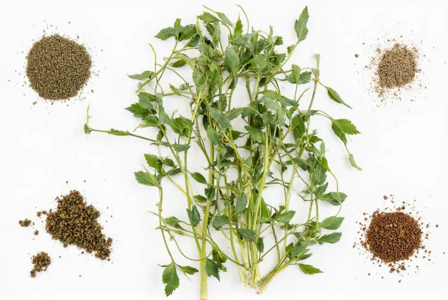 Close-up of ground anise powder in a spice jar next to whole anise seeds