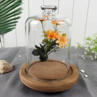 

new design plant terrarium slant clear glass vase