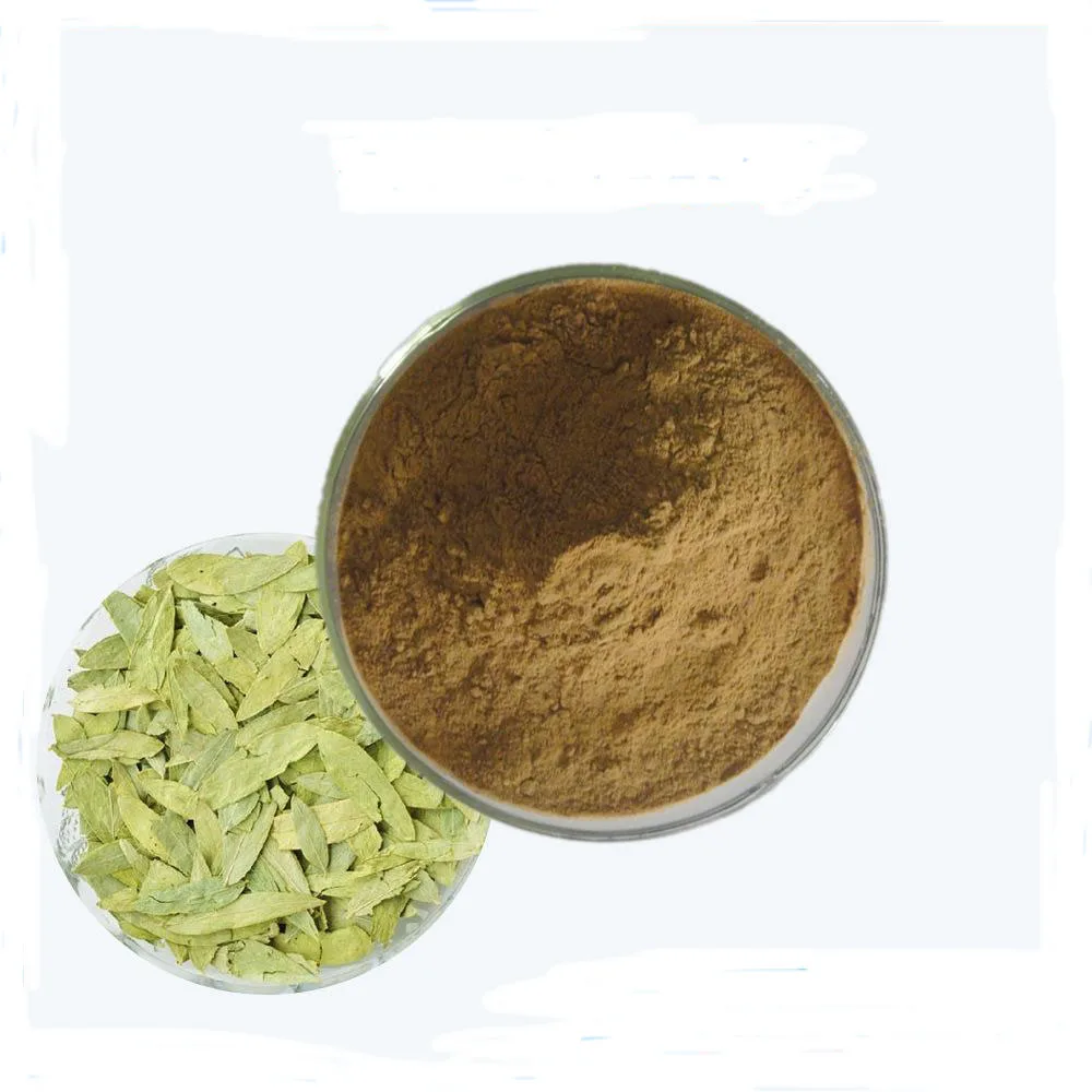 番泻叶提取物/番泻叶提取物番泻叶粉