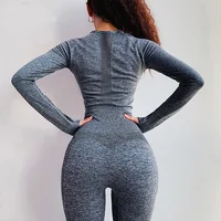 

Seamless Long Sleeve Yoga Set Crop Top Sport Suit Women