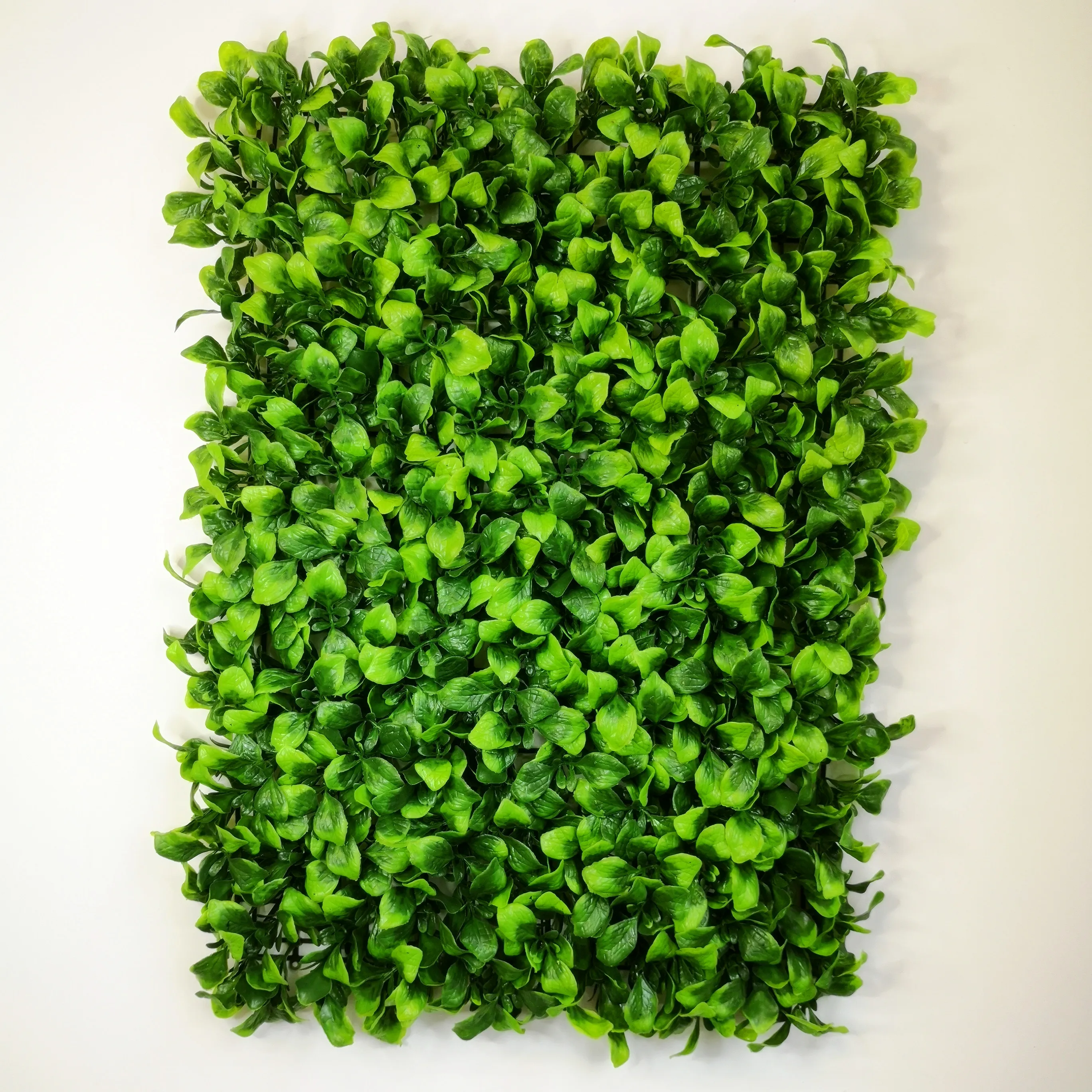 

cheap price vertical grass plant for home decorative boxwood panel greenhouse