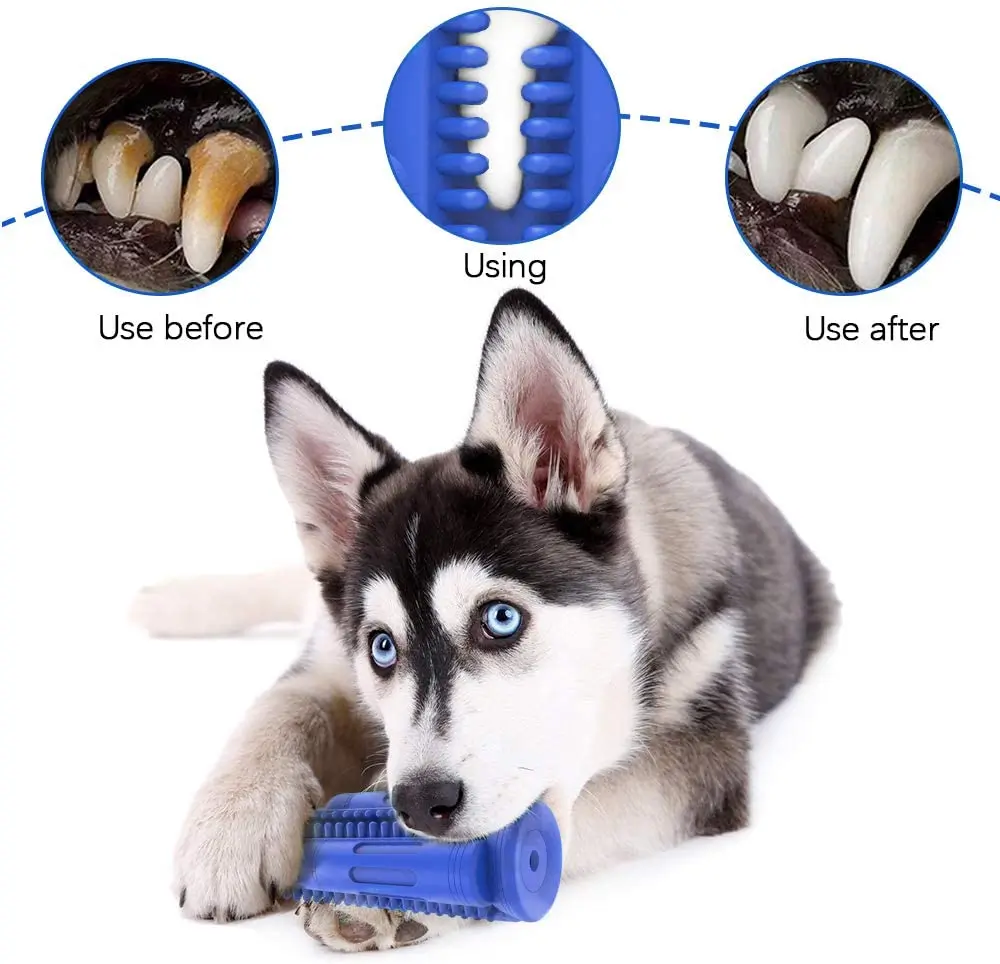 

Manufacturer Wholesale OEM Durable Natural Rubber Rocket Shape Puppy Teeth Cleaning Chew Toys For Small Medium Dog, 12 available color or customized