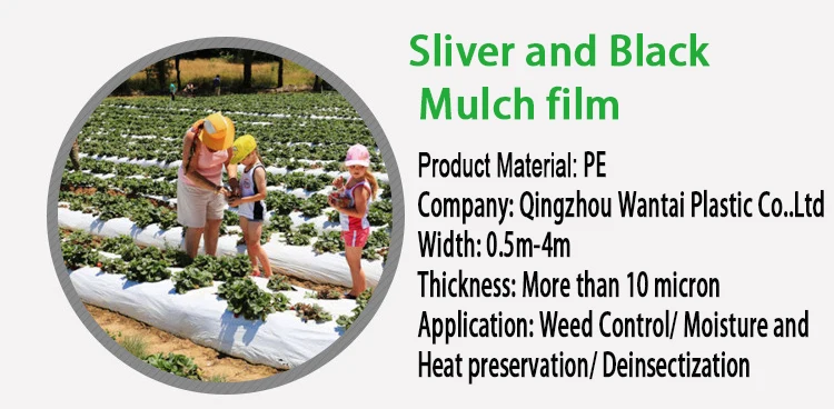 agricultural mulch film.jpg