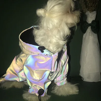 

Cheap Factory Price Hot Selling Luxury Clothes Reflective Pet Dog Hoodies Jacket