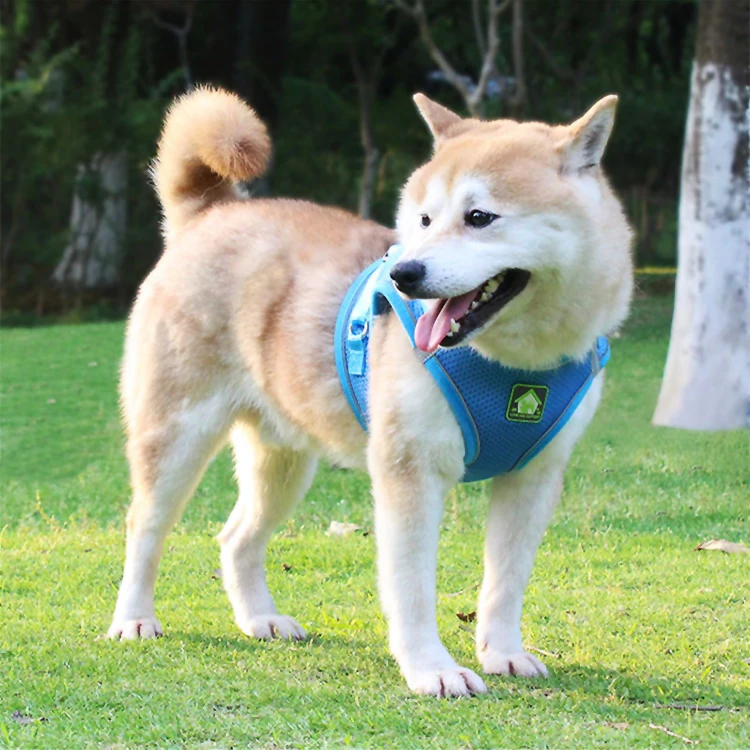 

All Seasons Pet Leash Nylon Adjustable Dog Harness, 6 colors