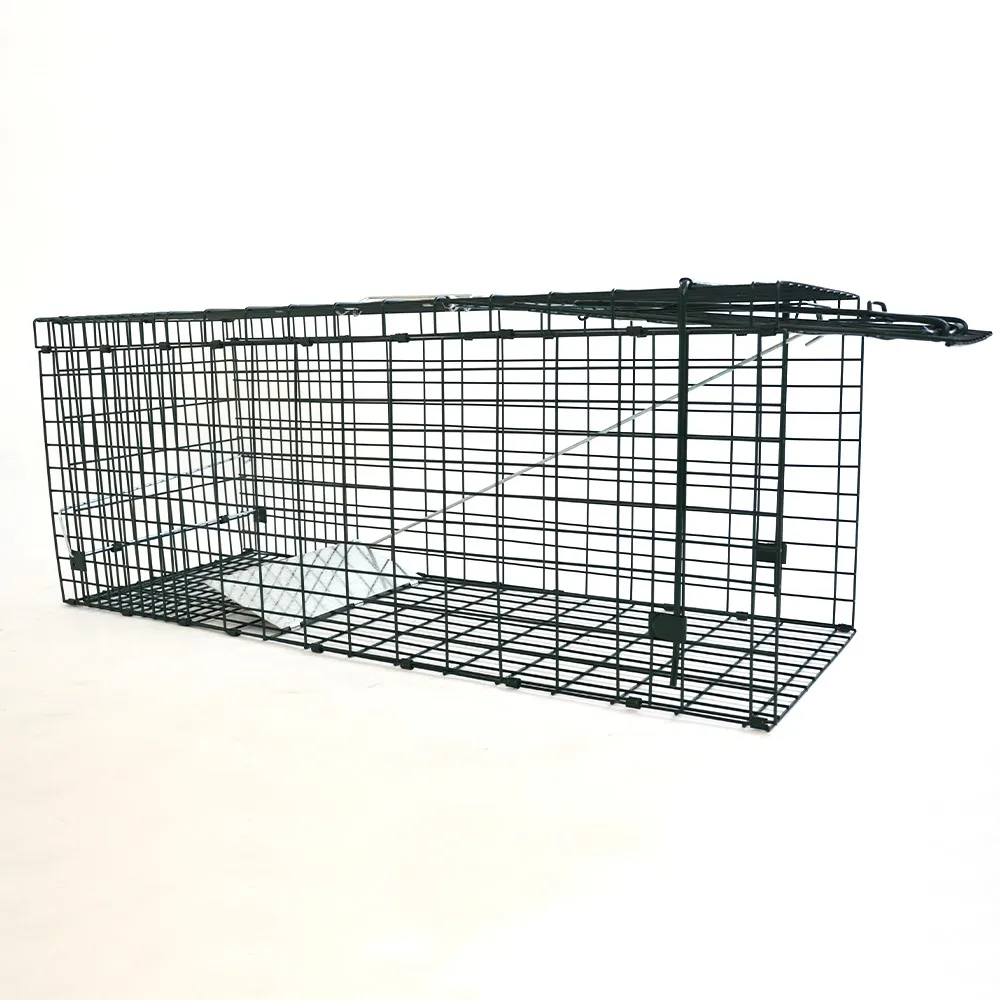 

Large Live Animal Trap Catch Release Humane Animal Cage Foldable For User-Friendly