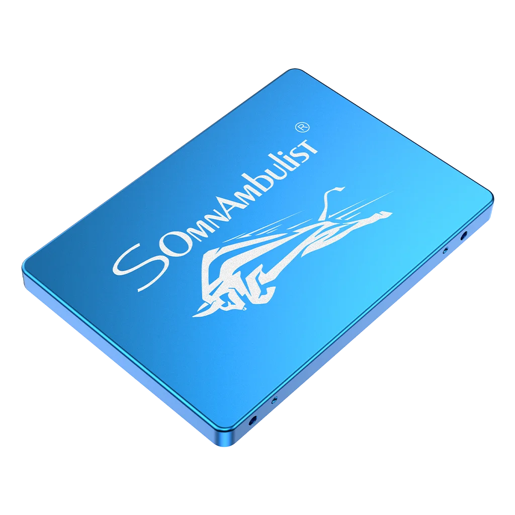 

SOMNAMBULIST GJS08 Bull Head SSD Free Shipping Sata3 SSD 60GB 120GB 240GB 480GB 960GB 2.5 Internal Solid State Drive