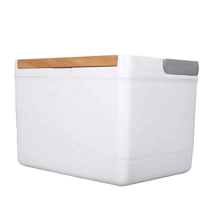 

Gint 11L dometic shipping body cooling box with wooden lid, Customized color