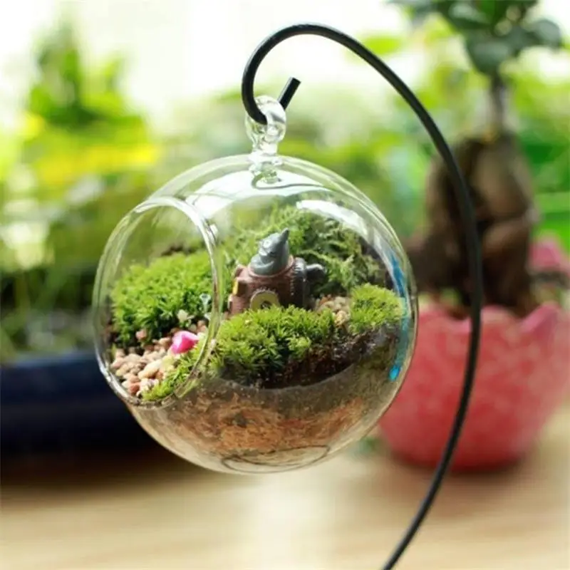 

Creative Clear Glass Ball Vase Micro Landscape Air Plant Terrarium Succulent Hanging Flowerpot Container, Multi-colored