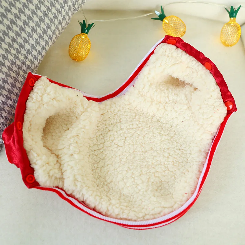 Fashionable Sports Dog Clothing Brand With Dog Logo Dog Cotton Clothes Buy Dog Cotton Clothes