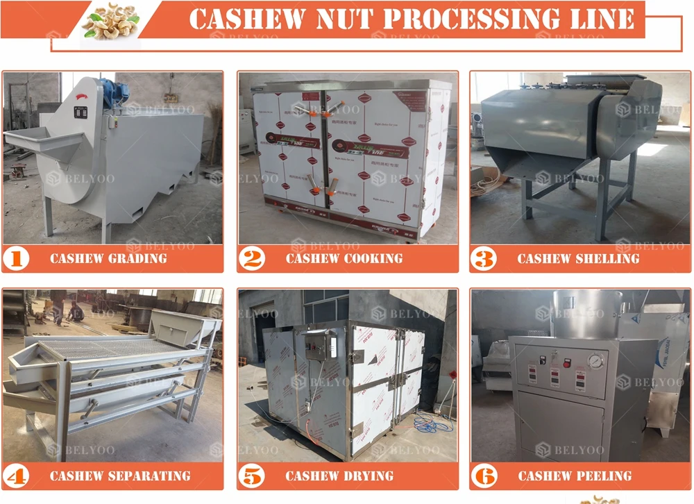 High efficiency cashew nut machine automatic manual cashew sheller processing line cashew nut processing plant