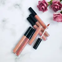 

High quality vegan Wholesale Custom nude liquid lipstick Shiny Fashion 6 Colors Private Label Nude Glossy