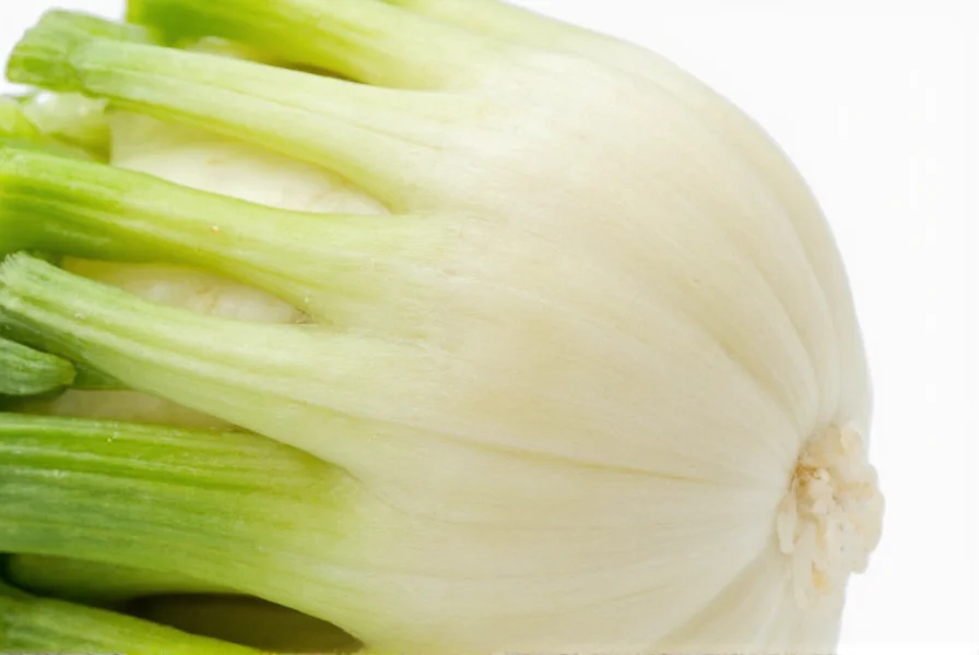 Close-up of raw fennel bulb showing crisp white layers and green fronds