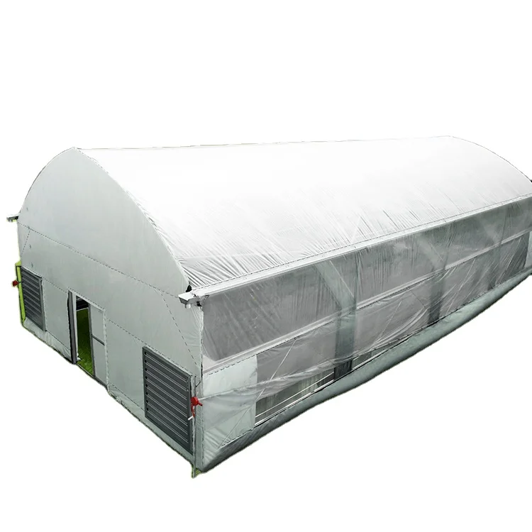 

stocked 10x10m blackout mushroom hothouse simple light deprivation hemp tunnel greenhouse for sale