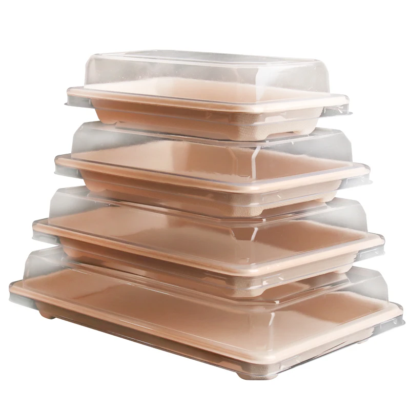 

New Coming OEM platos desechables biodegradable disposable plates food tray bagass sushi tray, Natural