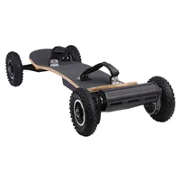

powered cheap electronic mountainboard wholesale elektro skateboard with 5mm motor protection board