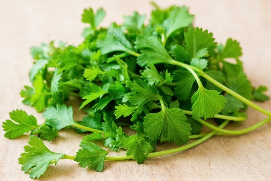 Coriander Alternative Names: Cilantro and More Explained