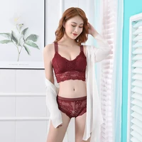 

New products eco-friendly best good quality fast delivery bra set plus size ladies undergarments brands