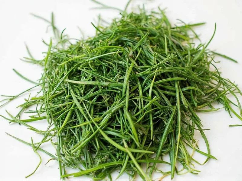 Fresh Dill to Dried Conversion: Exact Ratio & Methods