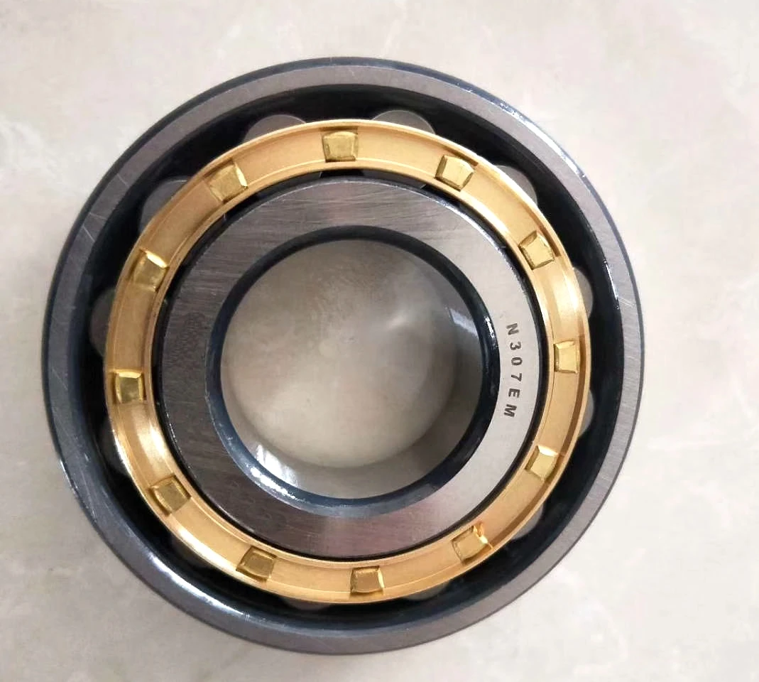 n308em 马达振动筛减速器圆柱滚子轴承