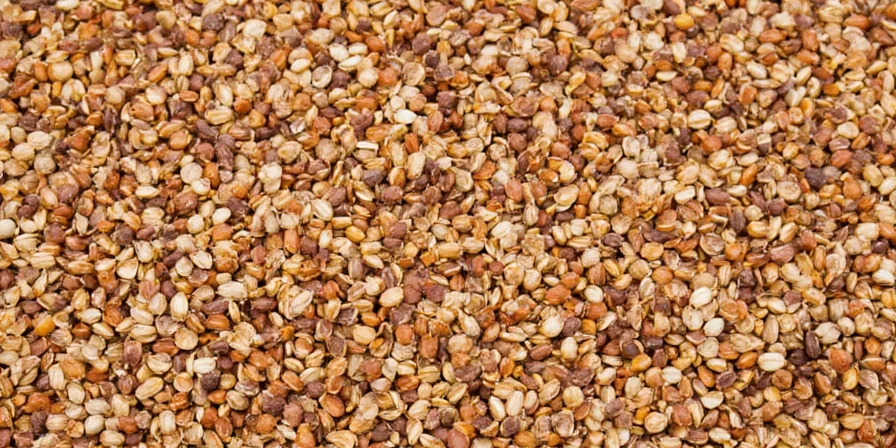 Close-up of Various Seeds and Spices in Jars