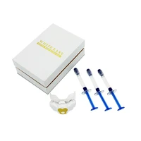 

CE and FDA Approved Private Logo Timer Function Mini LED Light Teeth Whitening Kit