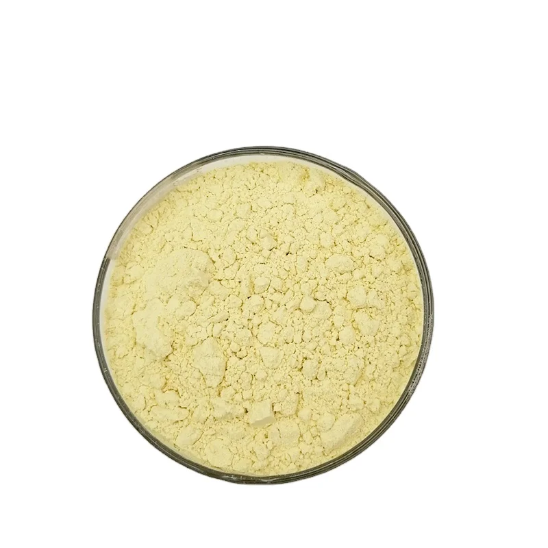 
Ginger Extract GINGEROL powder cas No 23513 08 8 8 GINGEROL 