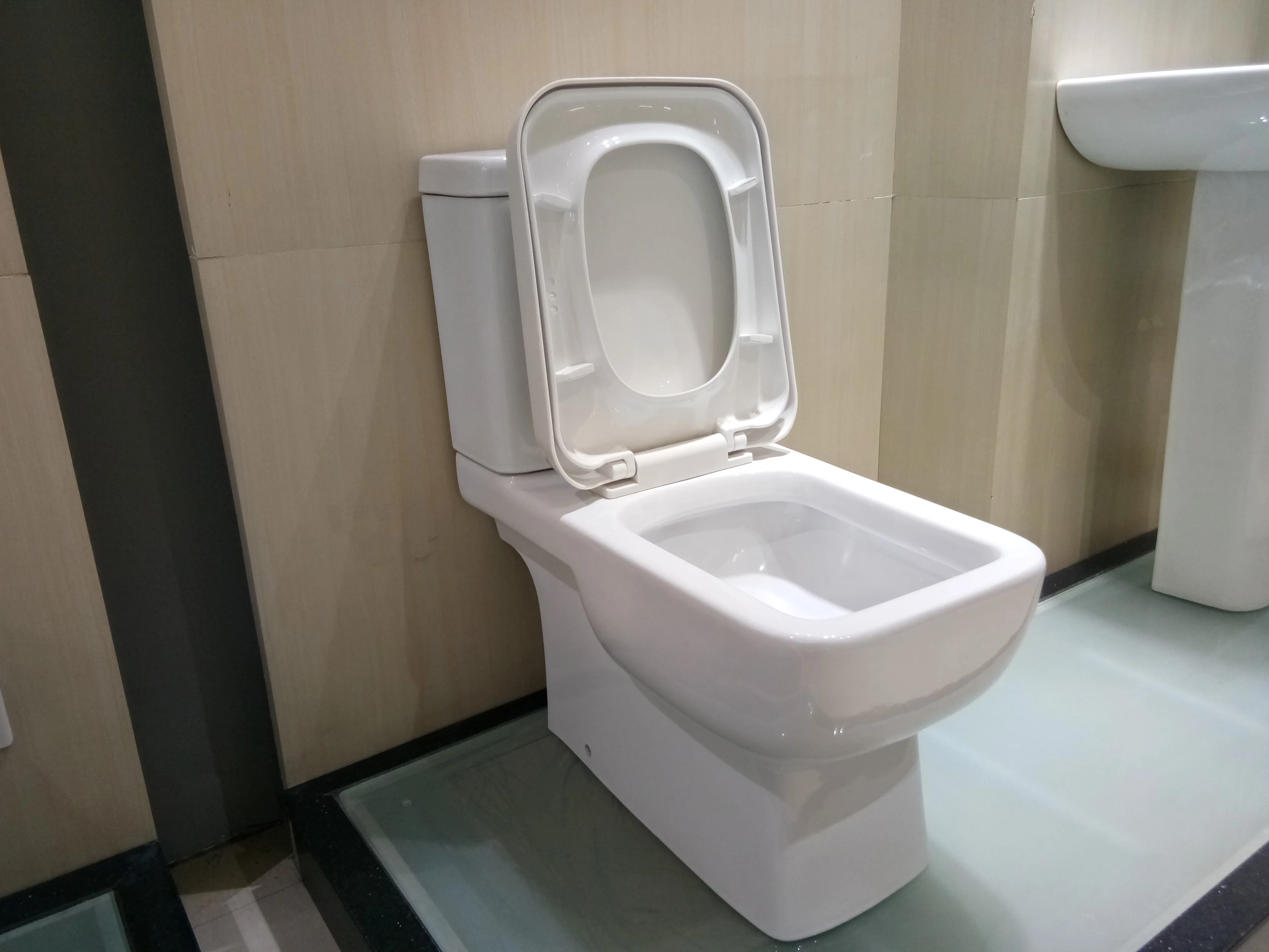 卫生洁具陶瓷厕所型号 nr221