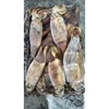 Best selling products 2019 the best nutritious frozen squid nature black squid