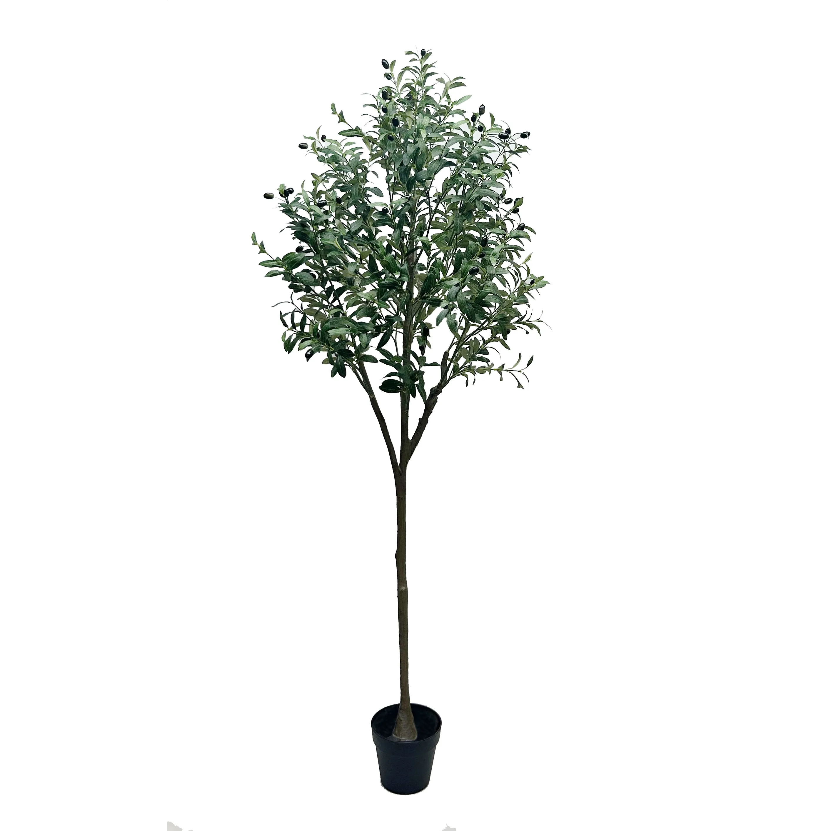 180CM H Olive tree in plastic pot P230820-180 US$19.32 MOQ 50PCS