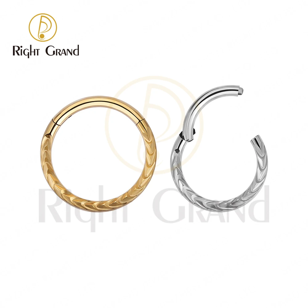 

Newest Titanium Hinged Segment Ring Septum Nose Hoop Gold Ring Ear Helix Body Piercing Jewelry Wholesale