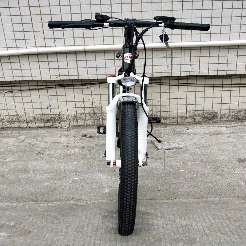 

Long Range Light Weight Folding Electric Bike Lithium Battery European Style Portable Electric Bicycle 20 for Ladies