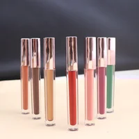 

Smudge proof waterproof fashion color long lasting halal organic custom matte liquid private label lipstick