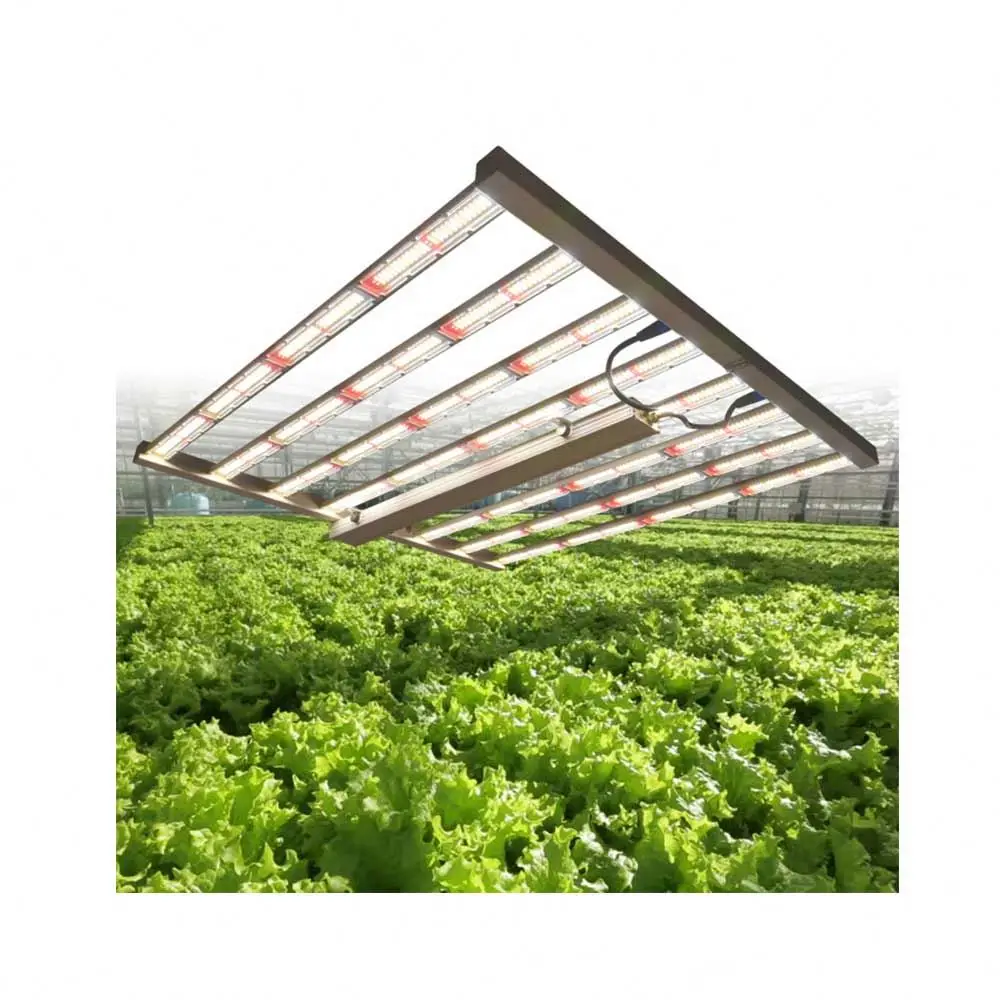 Risen Green Hot Sell New 2020 Led Grow Light Horticulture