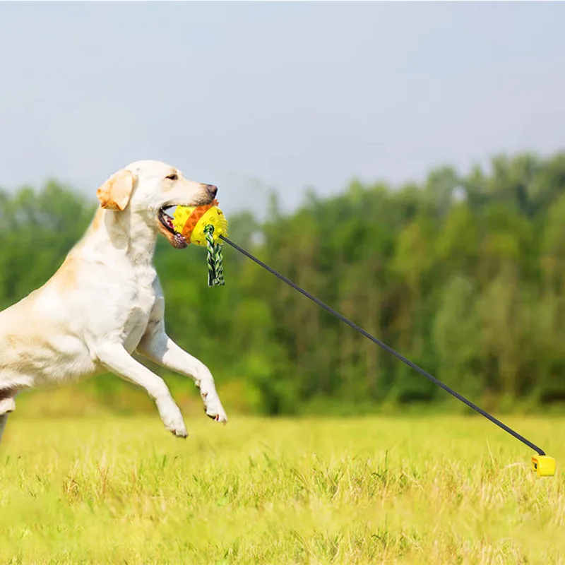 

Pet Supplies Factory Wholesale Amazon Outdoor Camping Backyard Dog Outdoor Tug Of War Resistant Tetherball Dogs, Yellow/american blue