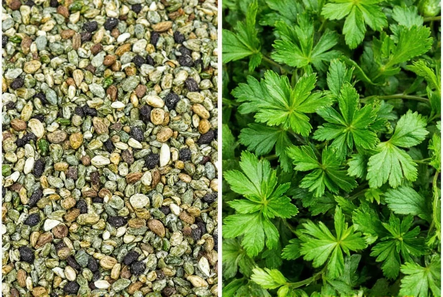 Dried herbs in a market
