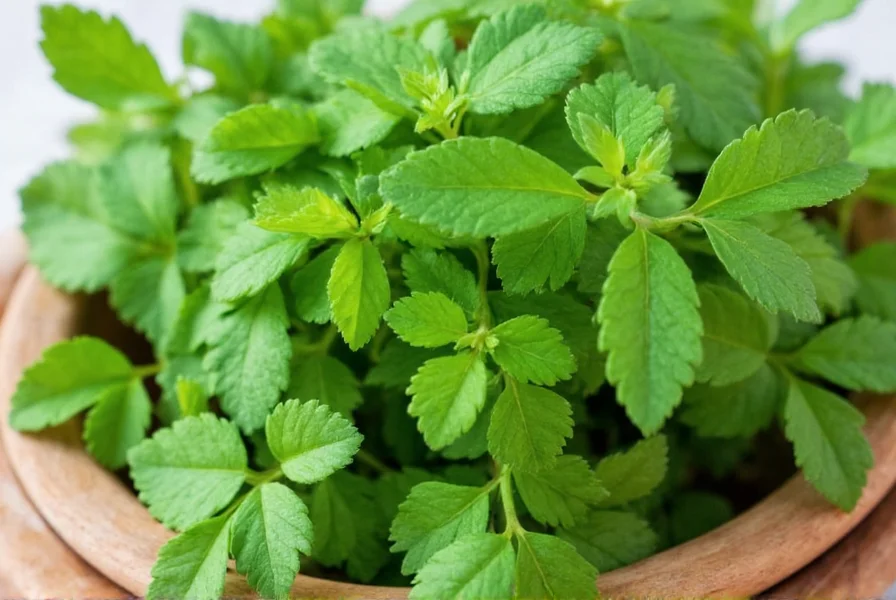 Coriander Leaves Uses: Culinary & Health Benefits