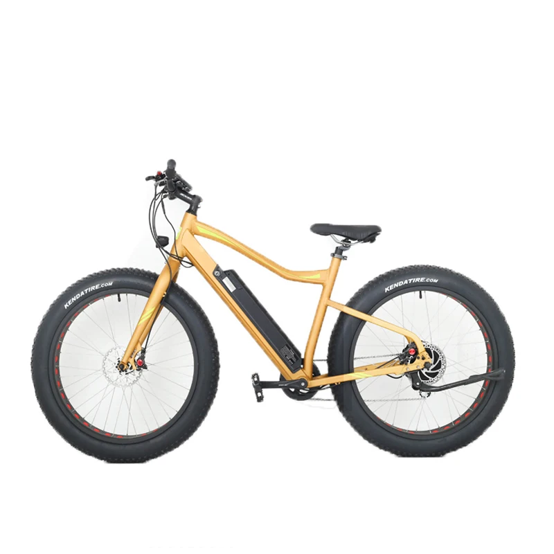 electric bike