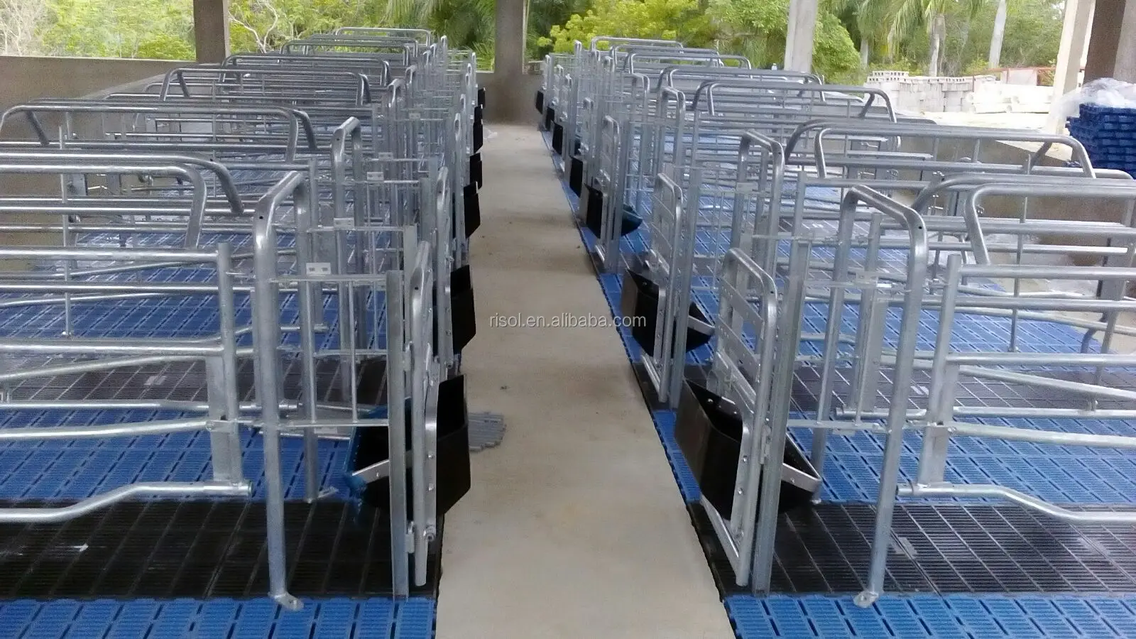 Hot Galvanized Farrowing Crates Pig Used Farrowing Crate For Sale Buy