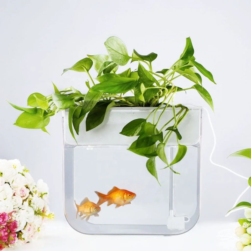 

Back to the Roots Water Garden Fish Tank, Deluxe