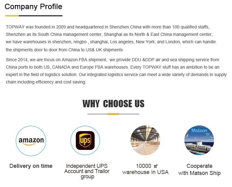 company profile.webp