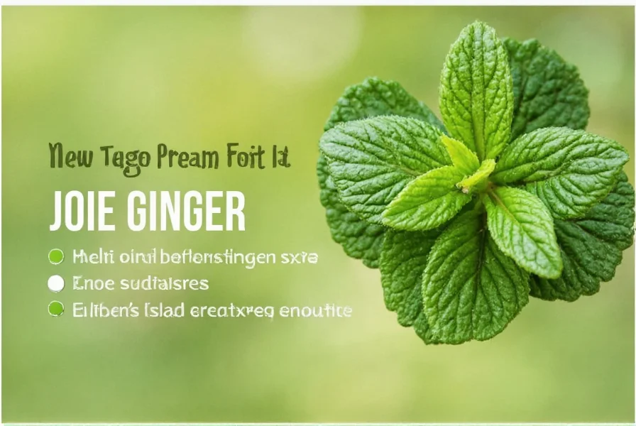 Joie Ginger and Mint used in cocktail mixing with fresh ingredients like lime wedges and mint sprigs