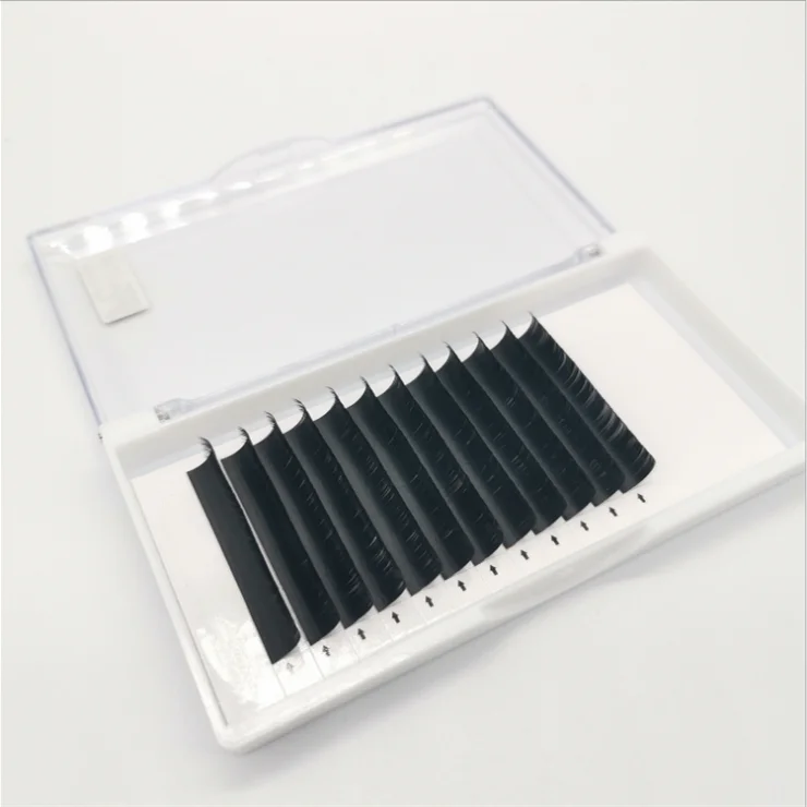 

LASHAP wholesale premade volume fans eyelash extension supplies private label Professional individual cluster eyelash extension, Natural black