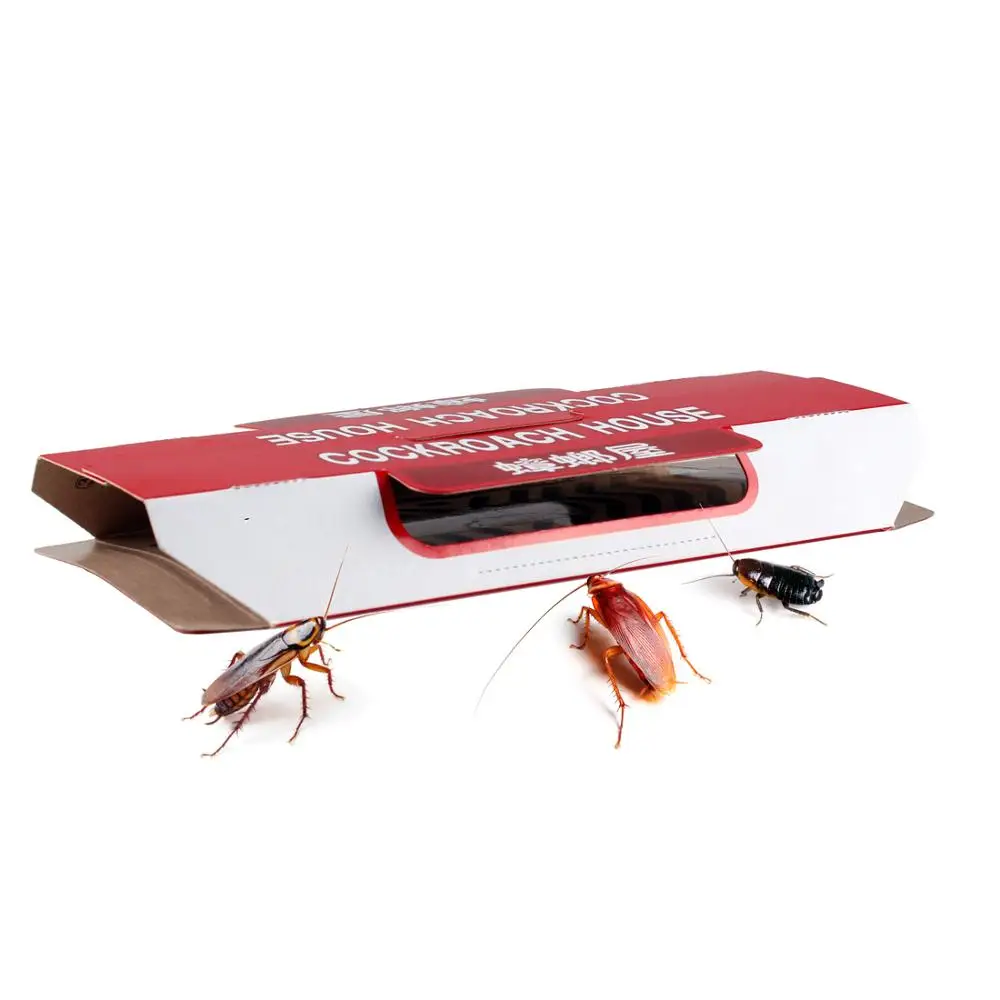 

Killing Roach House Anti Cockroach Trap Bait Included Disposable Killer Cockroach Glue Trap, Red