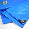 /product-detail/120gsm-blue-sunshade-hdpe-tarpaulin-for-tent-material-62368156850.html